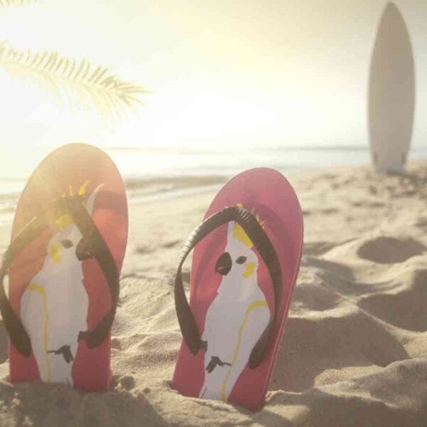 chanclas de playa