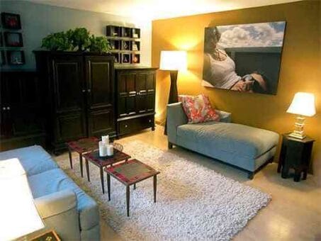 Feng shui para la sala 2 salón