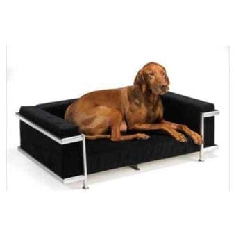 sillones para perros