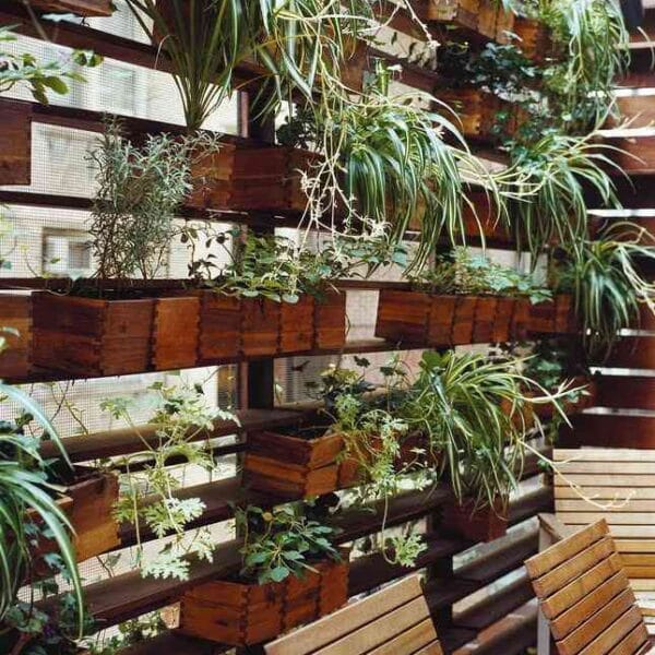 Decora con paredes vegetales