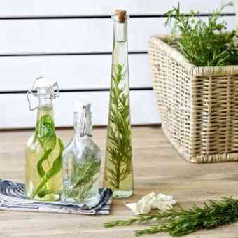 botes de cristal con plantas