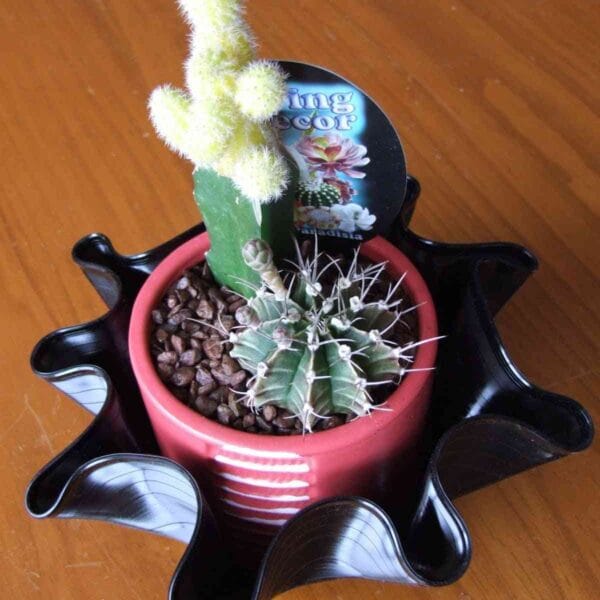 maceta hecha con disco de vinilo