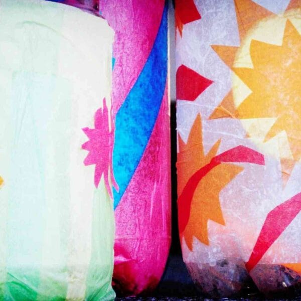 fanal de botellas de plastico