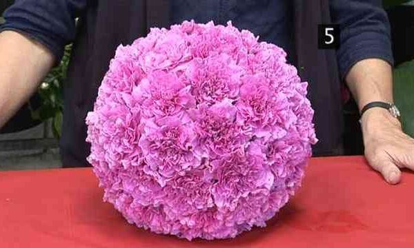 flores