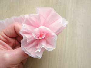 rosas