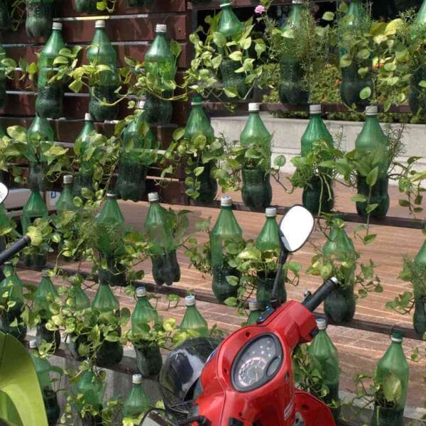 jardin vertical