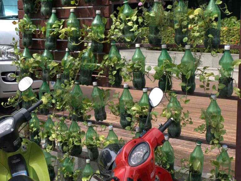 jardin vertical