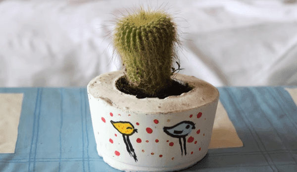 Cómo hacer tu propia maceta