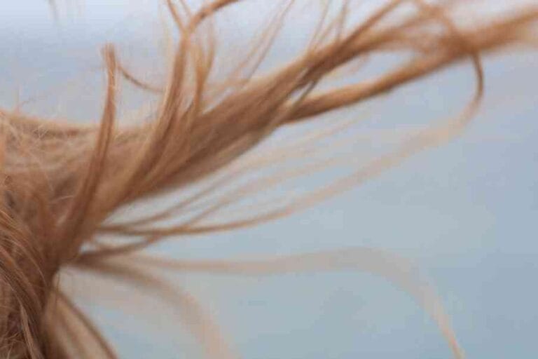 pelo