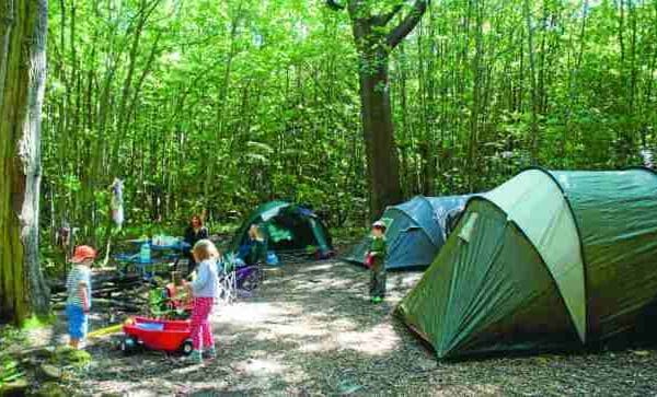 Consejos para ir de camping