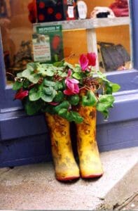 botas convertidas en maceta