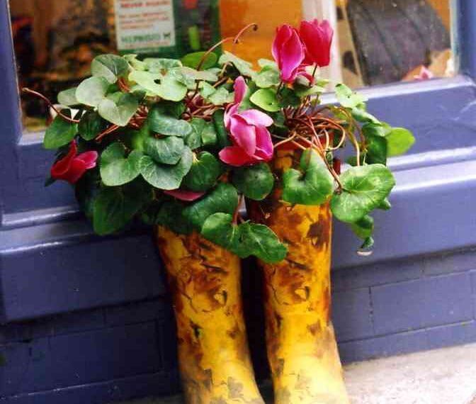 botas convertidas en maceta