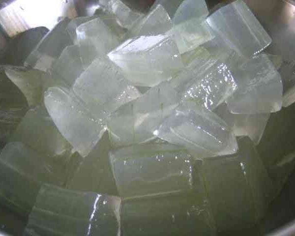 aloe vera