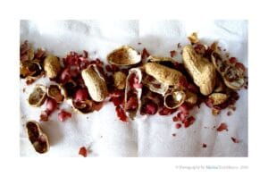cacahuetes pelados y puestos en fila