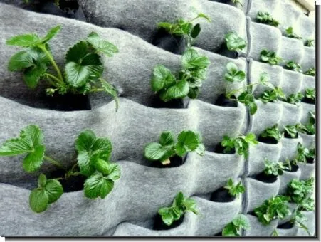 ideas para fabricar jardines verticales