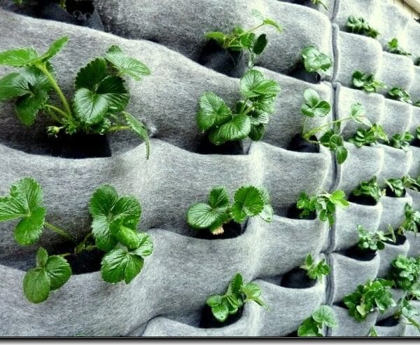 ideas para fabricar jardines verticales