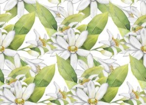 tendencias en reformas integrales 5