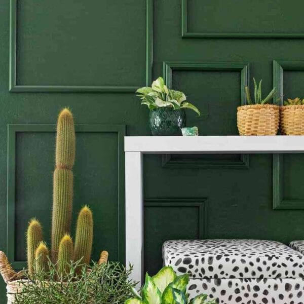 decorar las paredes