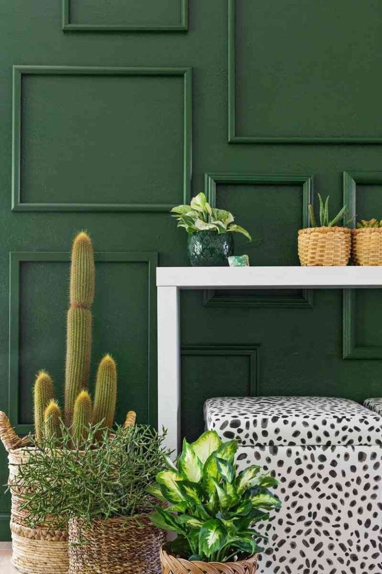 decorar las paredes