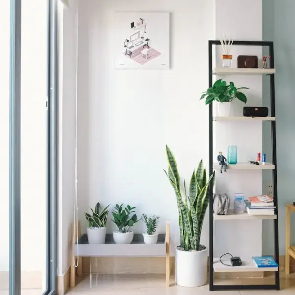 ideas para decorar