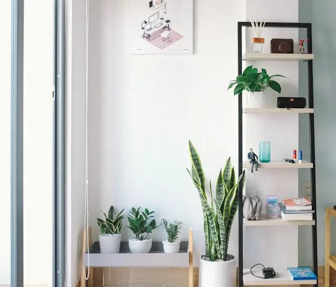 ideas para decorar