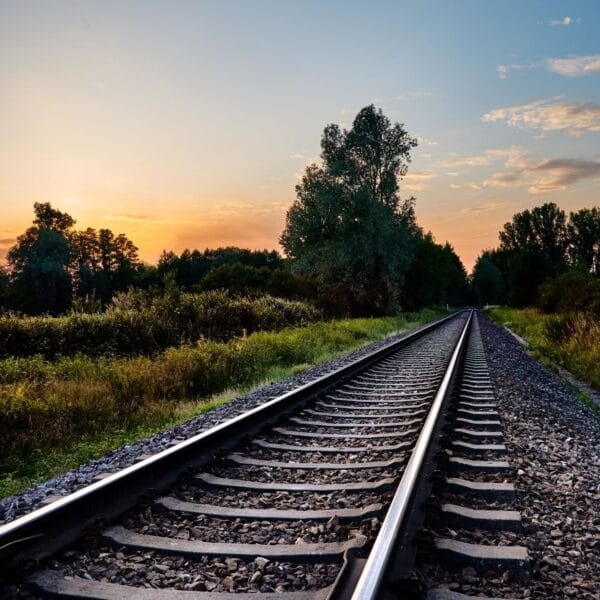 SerCat alcanza una mayor presencia online con los Next Generation