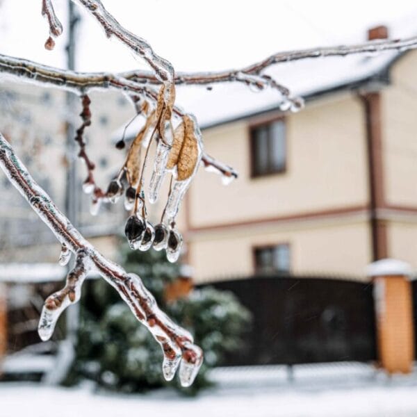 Consejos para proteger la vivienda del frío y las tormentas, según Allianz Partners