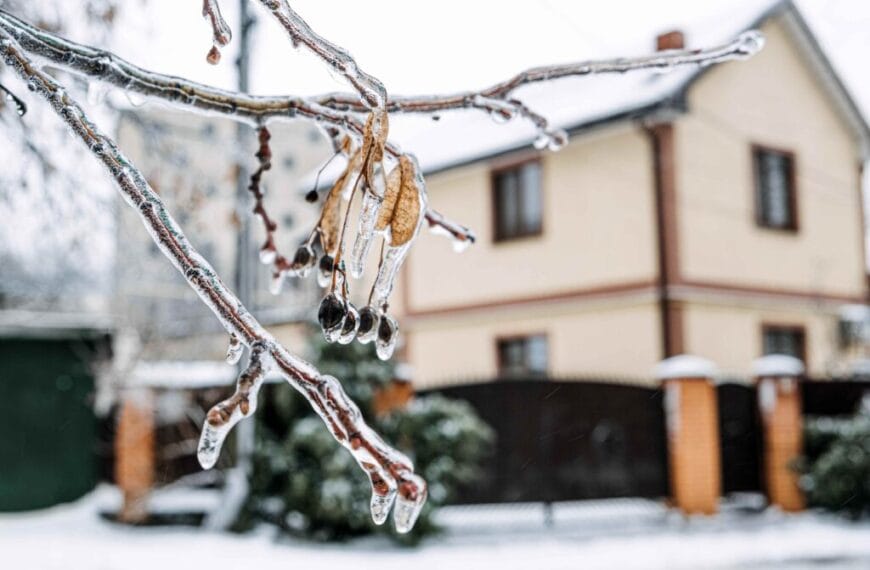 Nueva portada 9 Consejos para proteger la vivienda del frío y las tormentas, según Allianz Partners