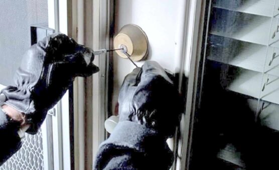 Incremento de robos en Cataluña, Comunidad Valenciana y Andalucía en el primer semestre de 2025 3 Silvia Pastor