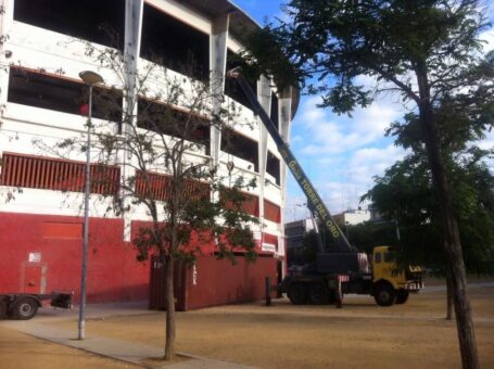 Grúas Torre del Oro: Innovación en Elevación para Grandes Montajes 1 Gruas Torre del Oro Innovacion en Elevacion para Grandes Montajes