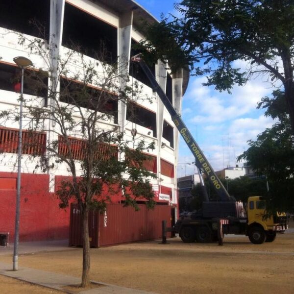 Grúas Torre del Oro: Innovación en Elevación para Grandes Montajes